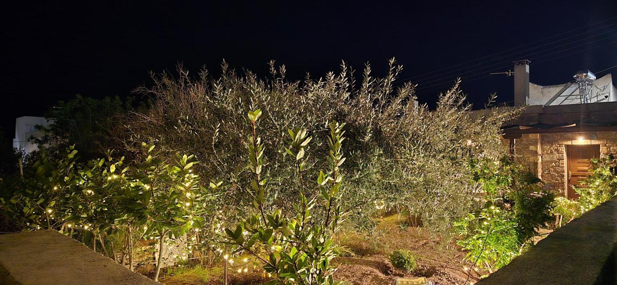 הוילה פרדיקה Basilikos מראה חיצוני תמונה